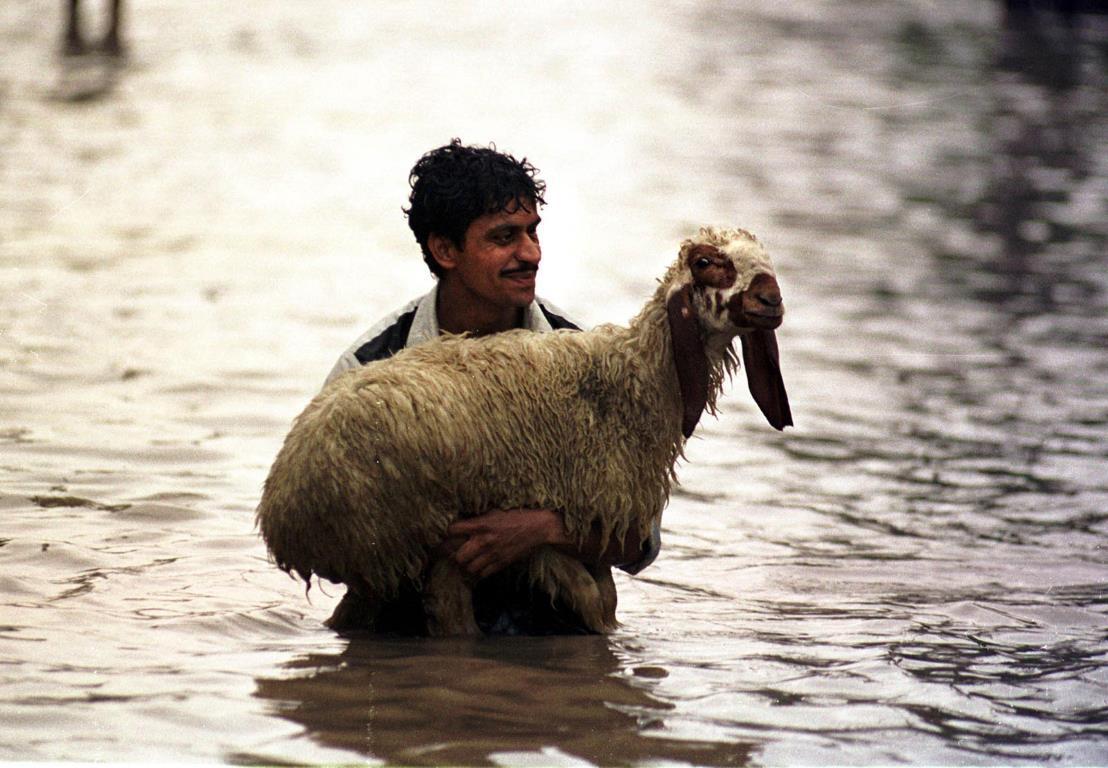 Пакистанец несет на руках свою овцу по затопленной дороге после сильного ливня в столице провинции Пенджаб, 24 июля 2001 года.