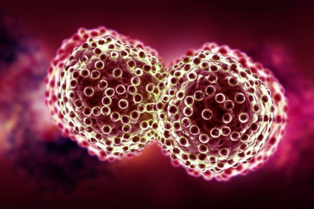 Вирус герпеса поможет в борьбе с раком кожи