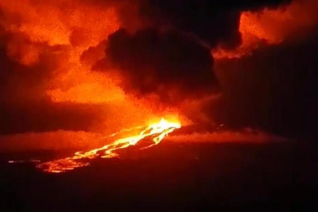 Вулкан Вольф угрожает экосистеме Галапагосских островов